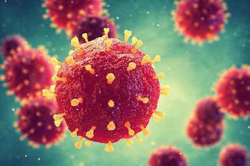 https://tinhot24h.vercel.app/mot-trong-nhung-virus-lay-lan-nhanh-nhat-the-gioi.html